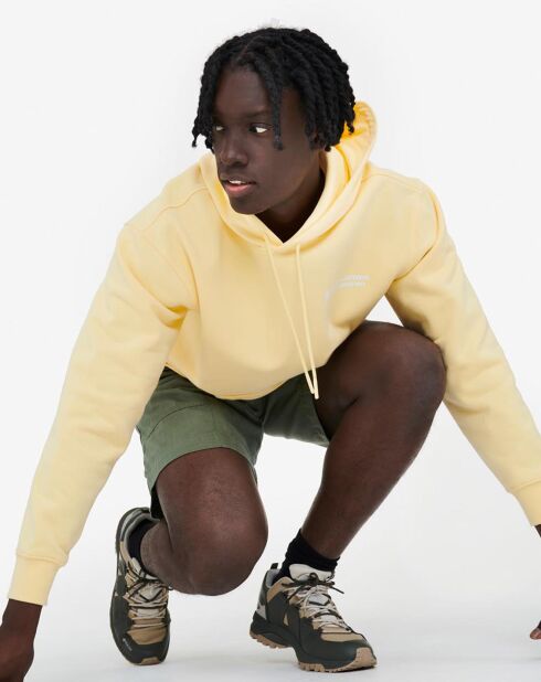 Sweat à capuche Ais24Mswe003 blé