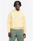 Sweat à capuche Ais24Mswe003 blé