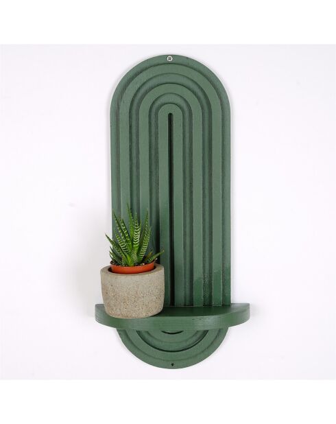 Etagère murale Raf verte - 40x20x9 cm