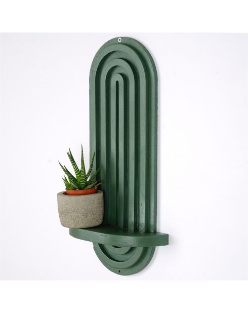 Etagère murale Raf verte - 40x20x9 cm