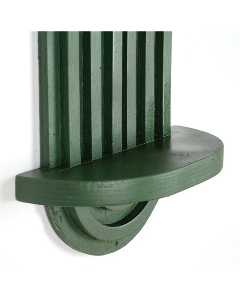 Etagère murale Raf verte - 40x20x9 cm