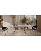 Table À Rallonges Bran transparent - 78x90x160/200/240 cm
