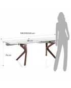 Table À Rallonges Bran transparent - 78x90x160/200/240 cm