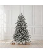 Sapin Le Finlandais 210cm - 1389 branches + pommes de pin