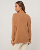 Pull Hadja camel