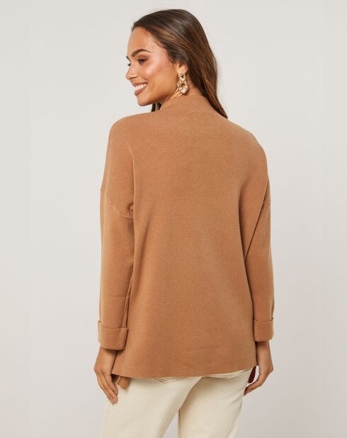 Pull Hadja camel