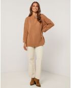 Pull Hadja camel