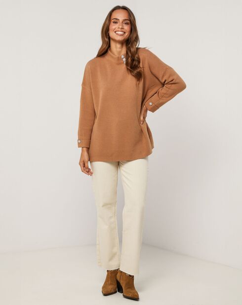 Pull Hadja camel