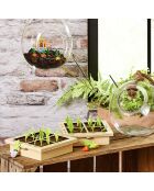 La bataille du potager - Jour de récolte