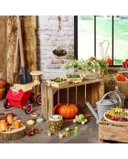 La bataille du potager - Jour de récolte