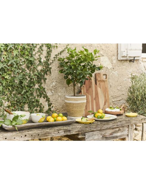 Saladier Calabra jaune/vert - D30x14 cm