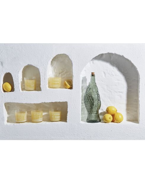 Bouteille poisson sauge - 1L