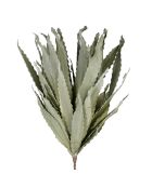 Fleur artificielle Aloe Verte - H100 cm