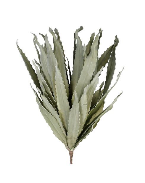 Fleur artificielle Aloe Verte - H100 cm