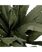 Fleur artificielle Aloe Verte - H100 cm