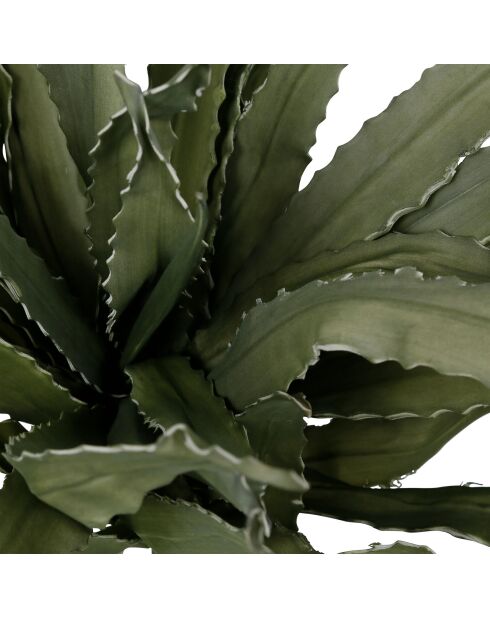 Fleur artificielle Aloe Verte - H100 cm