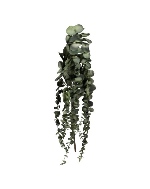Branchage artificiel Eucalyptus Vert - H70 cm