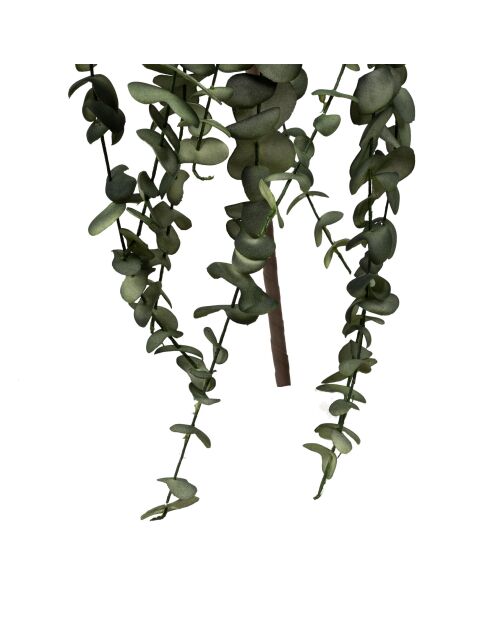 Branchage artificiel Eucalyptus Vert - H70 cm