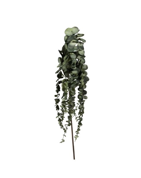 Branchage artificiel Eucalyptus Vert - H70 cm