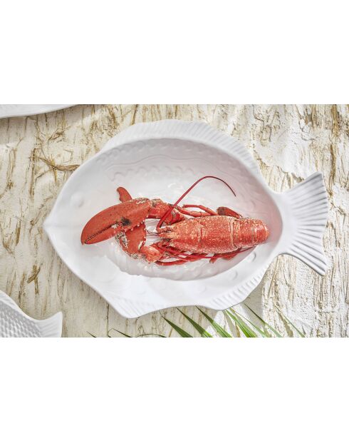 Plat creux poisson blanc - 46x32x9cm