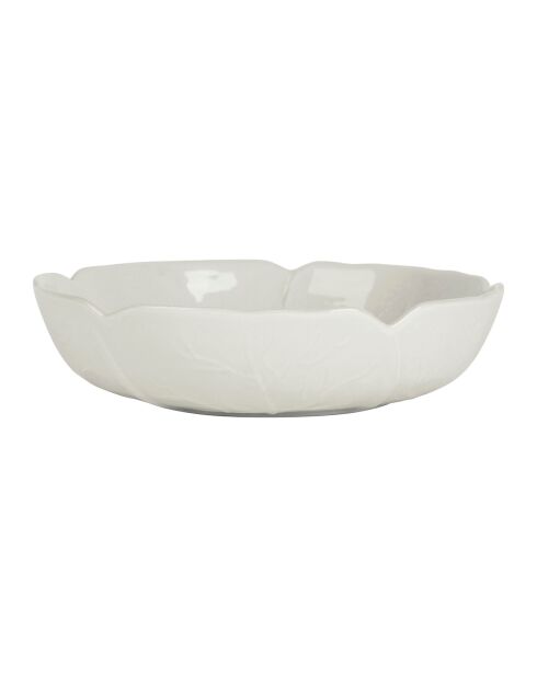 Plato hondo de col blanca, 20 cm de diámetro
