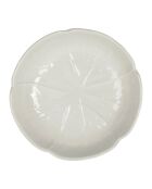 Plato hondo de col blanca, 20 cm de diámetro