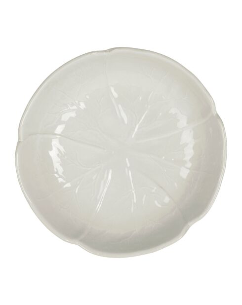 Plato hondo de col blanca, 20 cm de diámetro