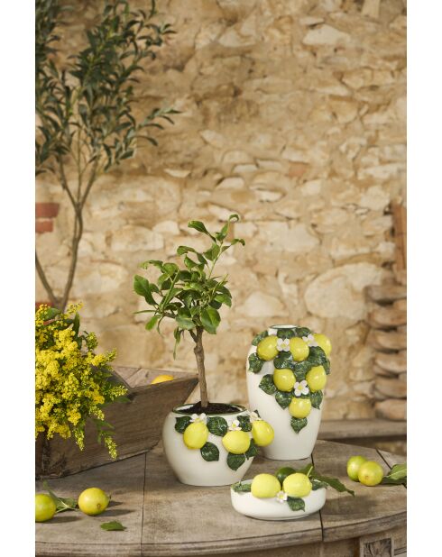 Vase citronnier jaune/vert - h15cm