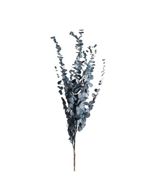 Branchage artificiel Ceropia bleu gris - H120 cm
