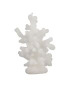 Candela in corallo bianco - 12x7xh18 cm