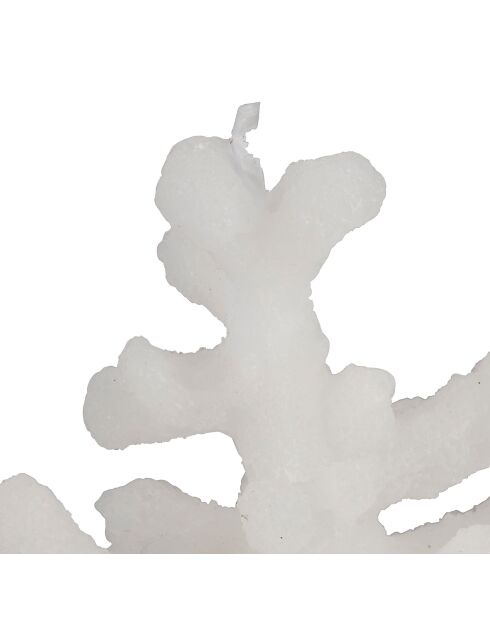 Bougie Corail Blanche - 12x7xh18 cm
