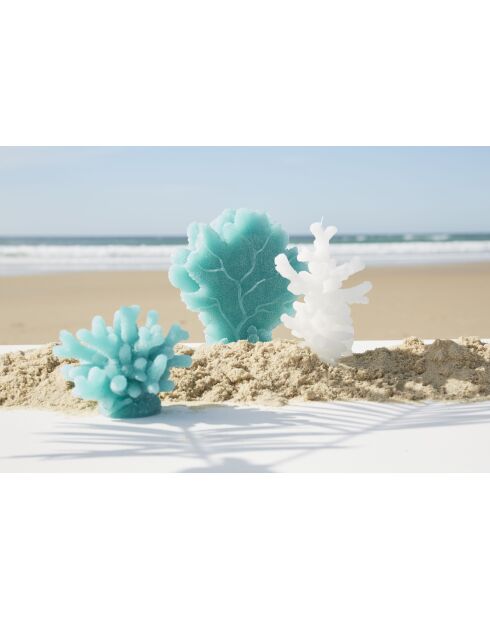 Bougie Corail Blanche - 12x7xh18 cm