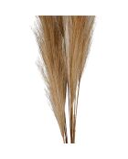 Fleur artificielle Celosia Brune - H91 cm