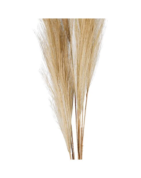 Fleur artificielle Celosia Sable - H91 cm