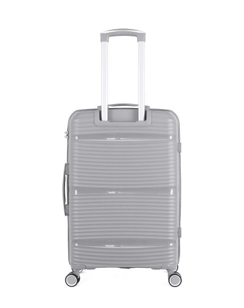 2 valigie Grey Centaur Weekend & Cabin