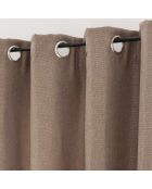 Rideau à Oeillets (135 x 240 cm) Tramina Noisette, Occultant Tissé