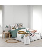 Octavia Green 3-teiliges Set, 100% Baumwolle