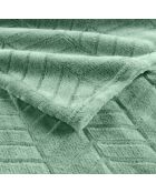 Coperta Arya Sage (180 x 220 cm), rilievo in flanella