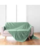 Coperta Arya Sage (180 x 220 cm), rilievo in flanella