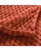 Plaid (125 x 150 cm) Mini Frosty Terracotta, flanella a rilievo liscio