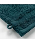 2 Gants de Toilette (15 x 21 cm) Elegance Bleu Vert, 100 % Coton Uni