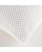 Cuscino rimovibile (45 x 45 cm) bianco Java, flanella a rilievo liscio