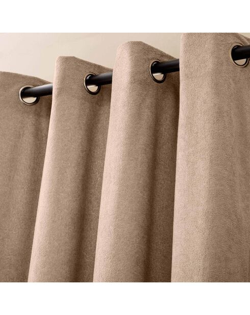 Rideau à Oeillets (140 x 260 cm) Winona Sable, Bouclette Unie