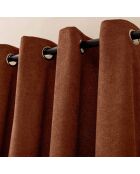 Rideau à Oeillets (140 x 260 cm) Winona Terracotta, Bouclette Unie