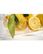 Petit Plateau Renaissance