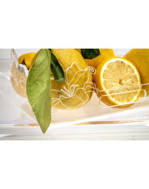 Petit Plateau Renaissance