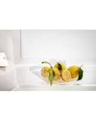 Petit Plateau Renaissance