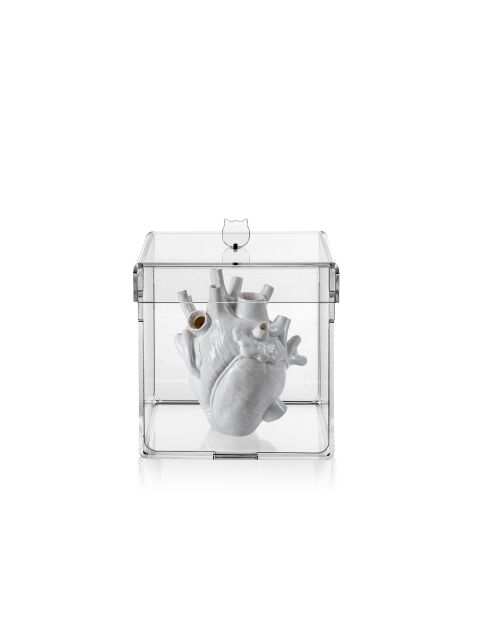 Haku Petite Boîte Transparente