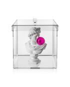 Grande Boîte Transparente Haku