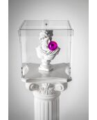 Grande Boîte Transparente Haku